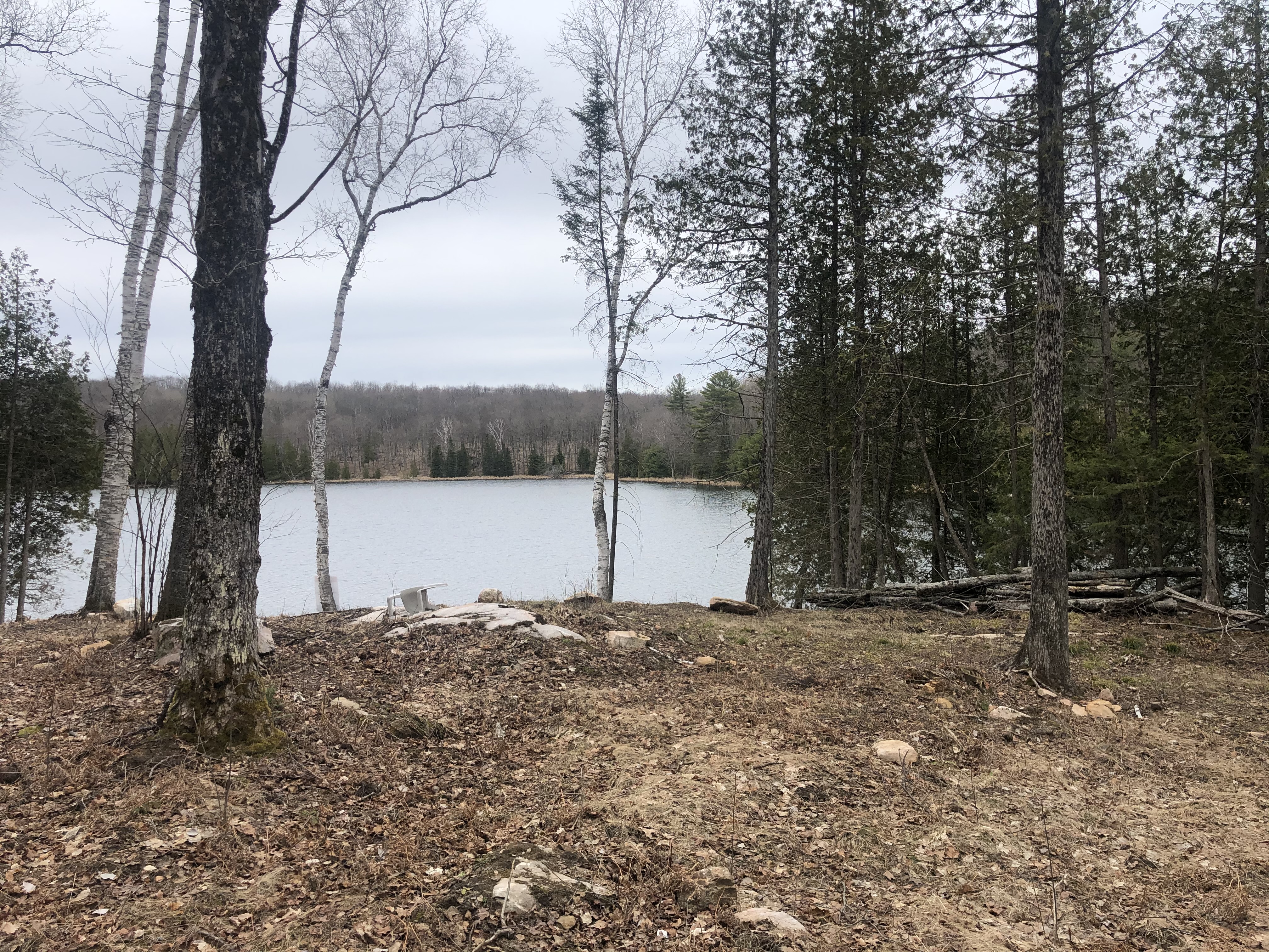 A dreary photo of the shoreline “plateau” during the initial viewing, in early Spring. Photo shows a lack of trees at the water, a pile of logs, and a plastic lawn chair on its side.