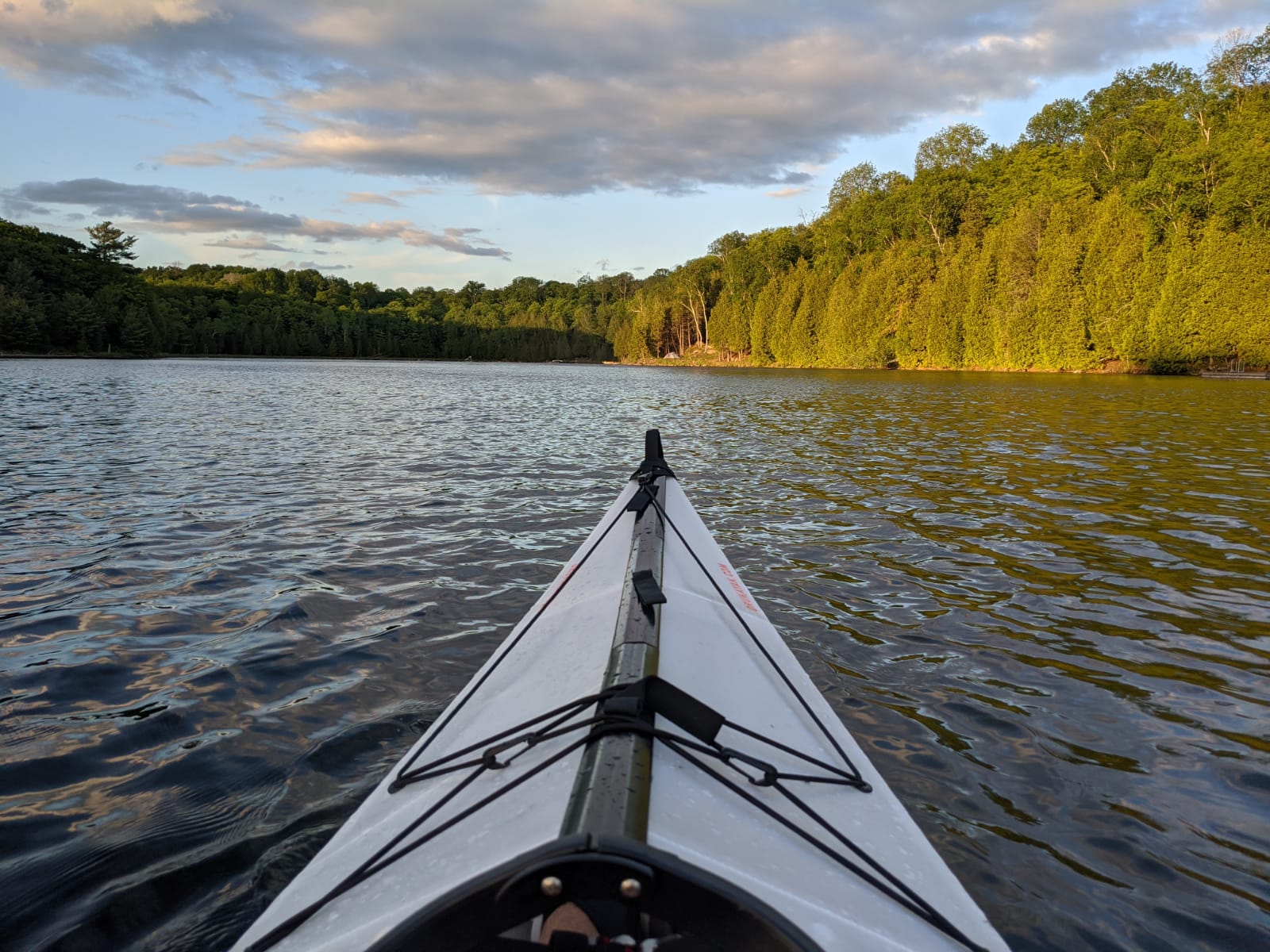 The bow of a folding kayak in the water, pointing across the lake to my shoreline. The gap in the trees is quite noticeable.