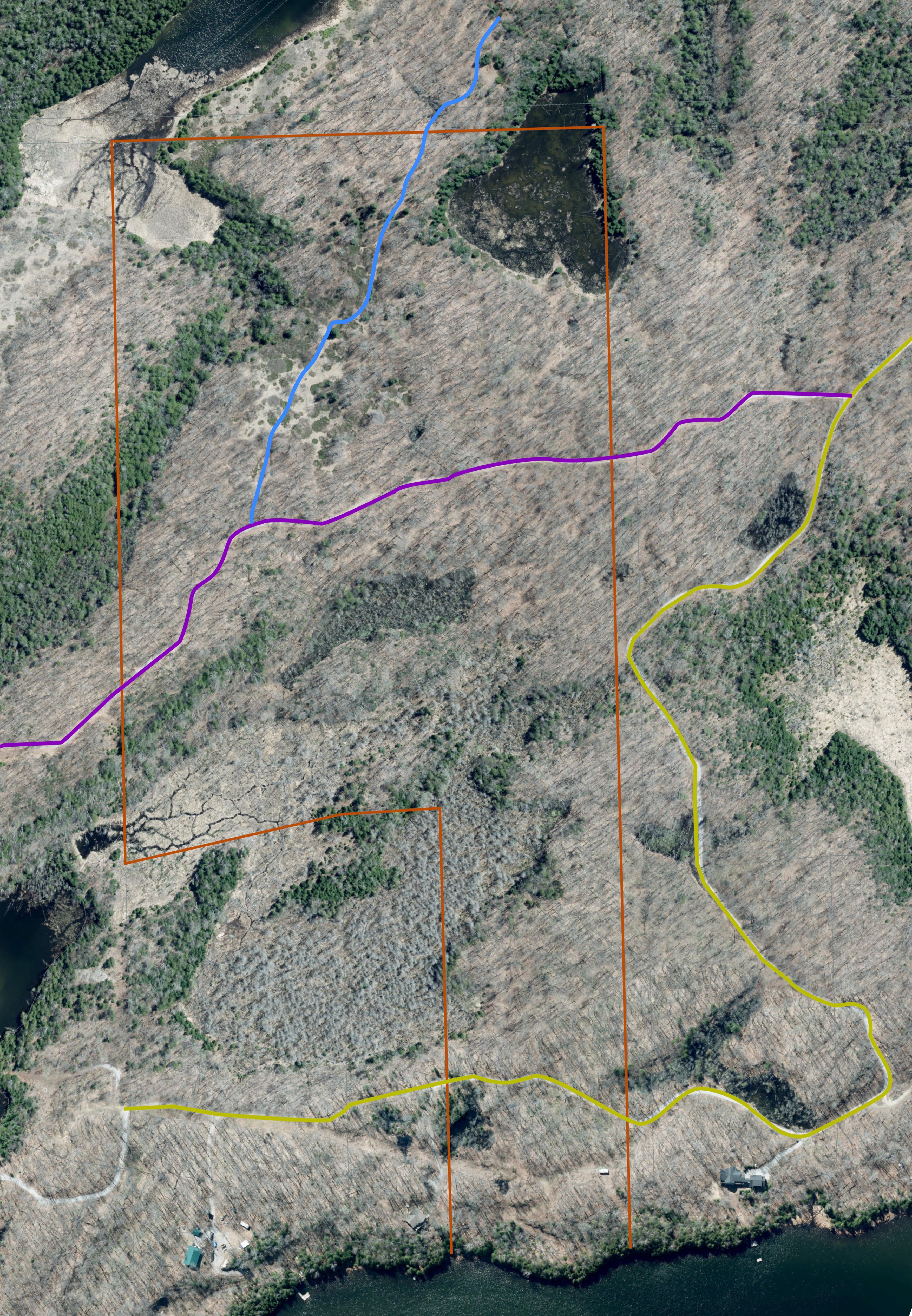 Similar to the previous photo, but using clearer GCIS imagery of the property in late fall or early spring, easily showing where deciduous and coniferous trees stand.