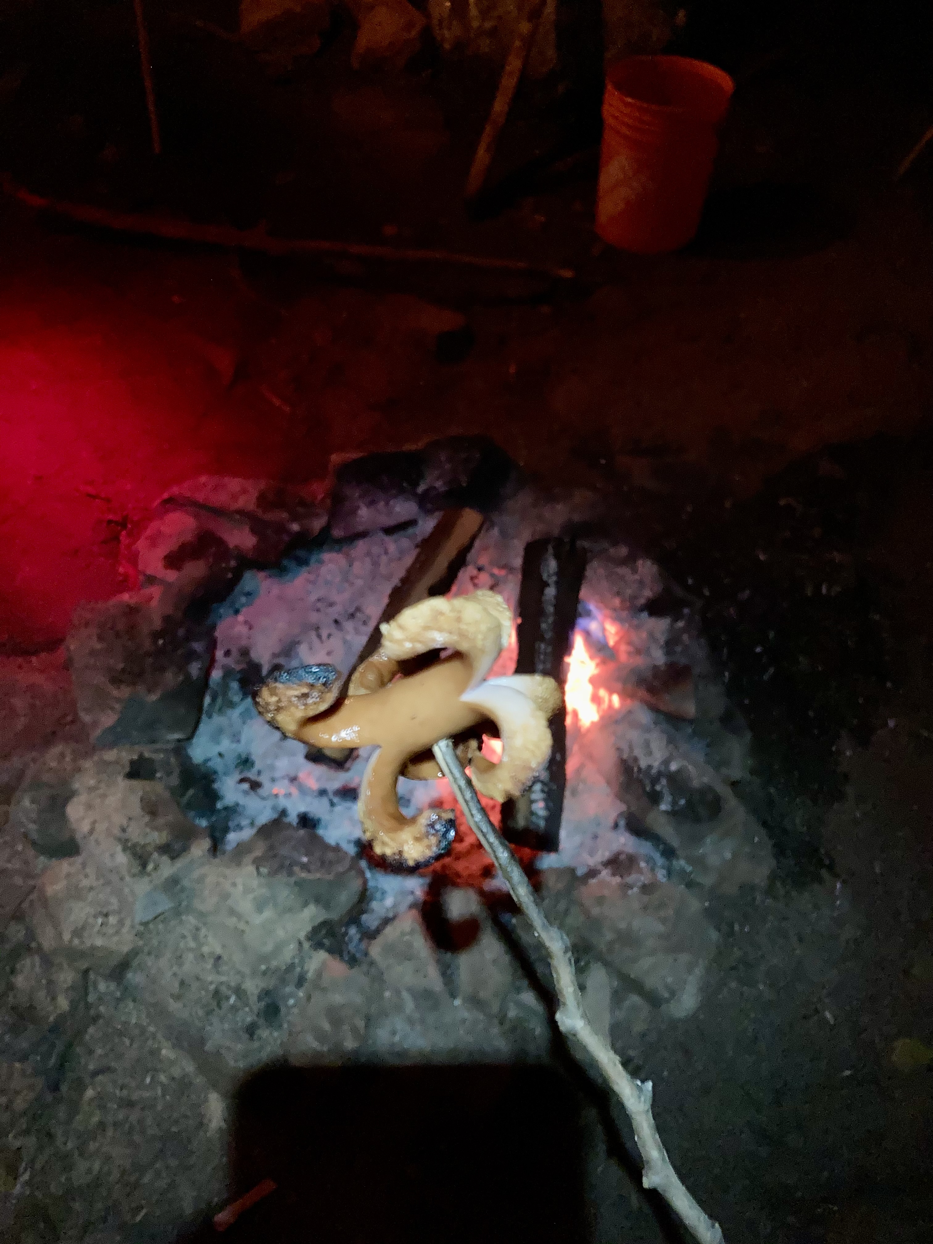A basic hotdog on a stick over the fire, but with either end cut into quadrants. The heat makes those “legs” curl up to look… well, not really like a spider, but there are eight things.