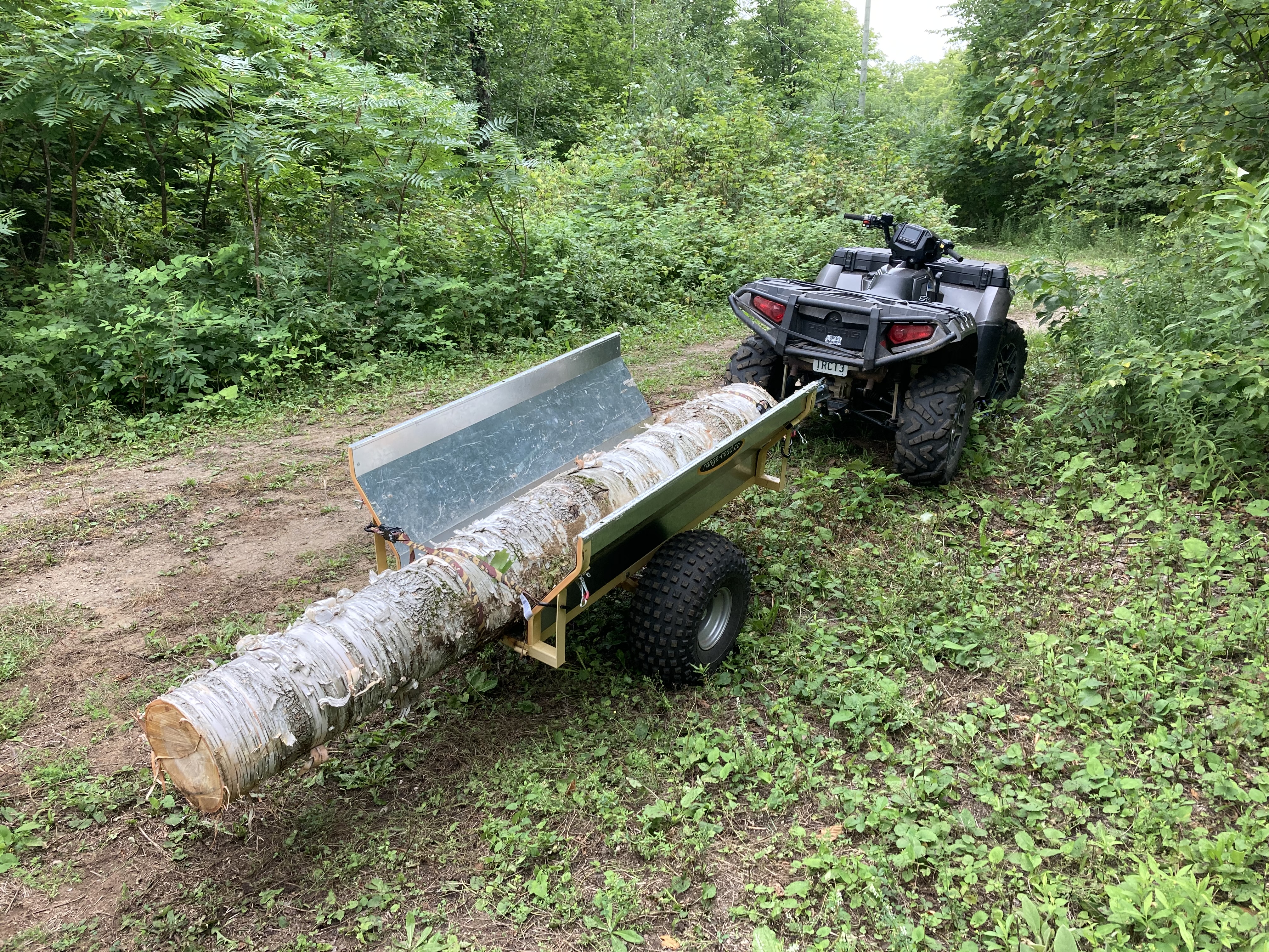 A thumbnail for a video that includes felling a dead standing birch, cutting it into sections, using the ATV winch to pull them onto the ATV trailer, driving them up the hill, and repeating the process to winch them onto the large, aluminum trailer for transport.