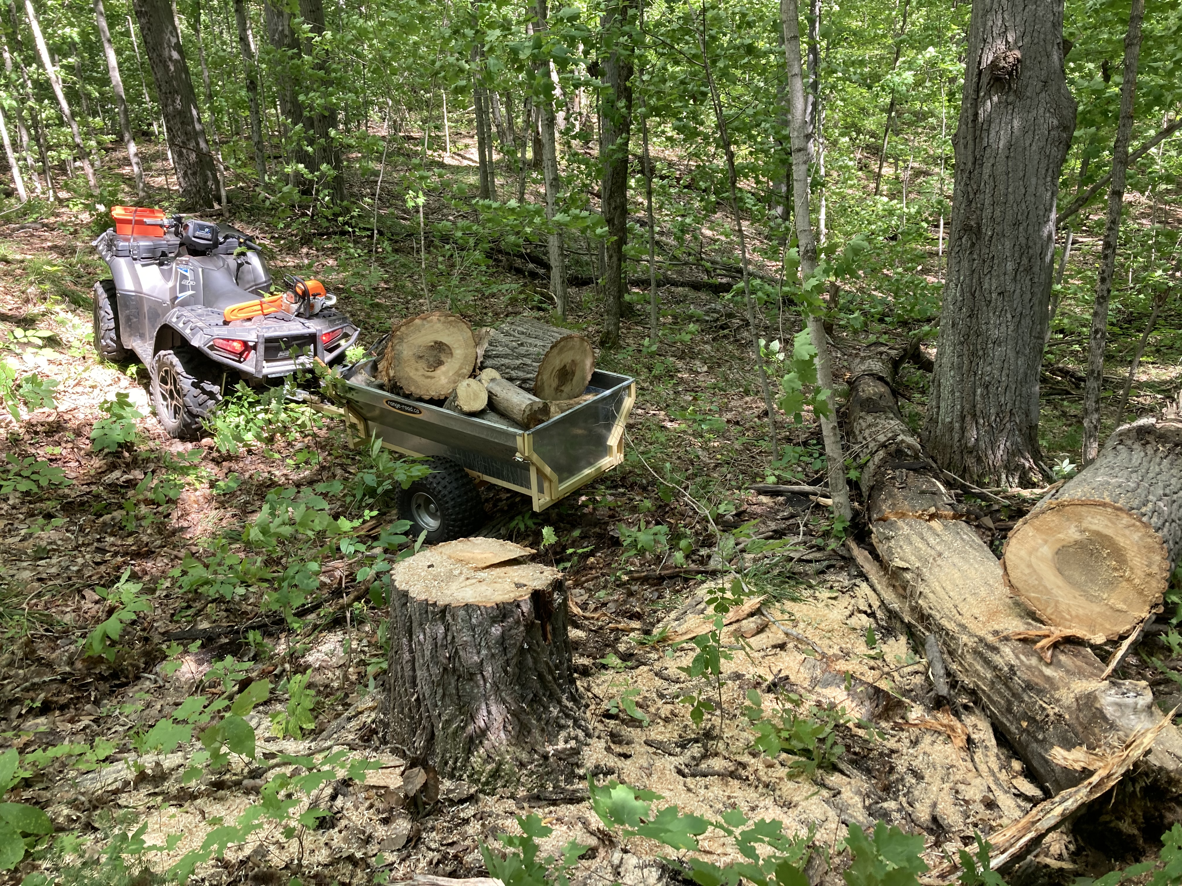 The ATV in the back acreage with its trailer, loaded up with 16 inch sections of a 20-24 inch tree