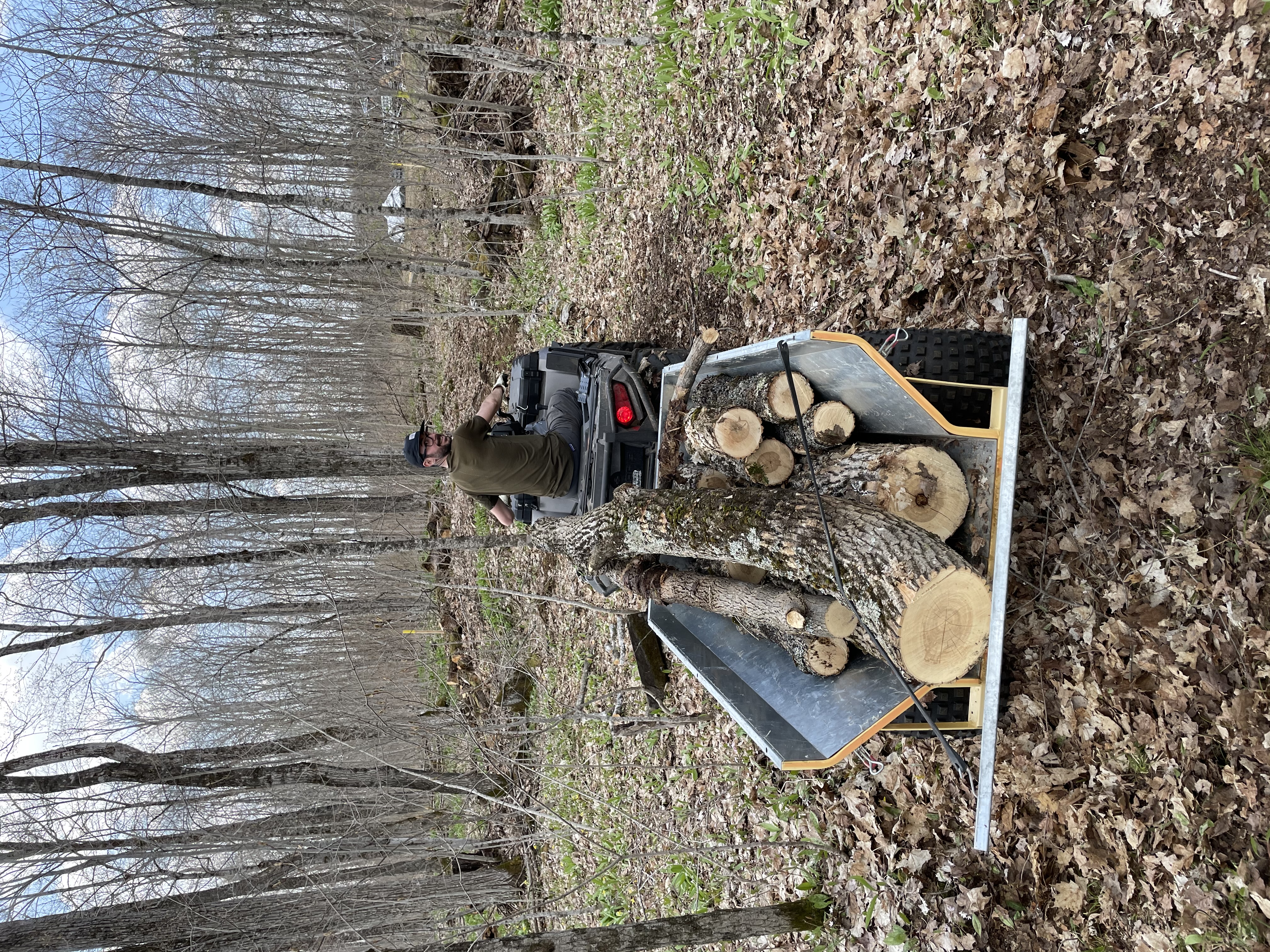 My friend driving an ATV load of Ash logs out of the forest