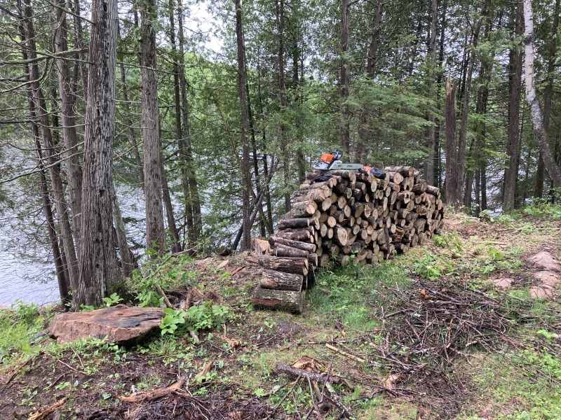 My new chainsaw atop its first project, bucking a dozen hardwood logs into firewood rounds