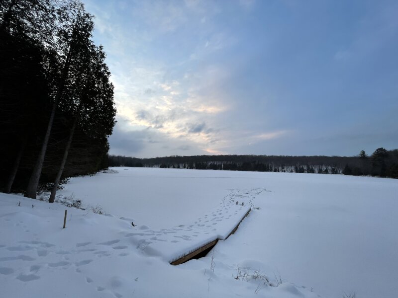 The dock in winter, frozen in place with snow on it