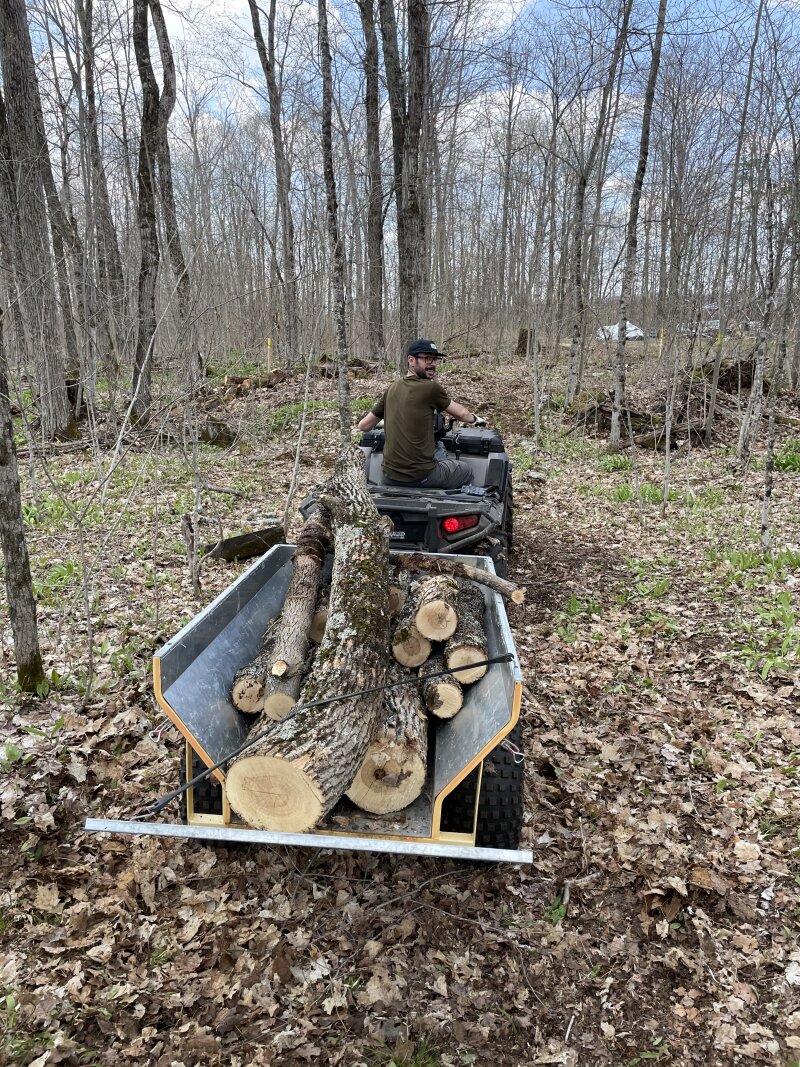 My friend driving an ATV load of Ash logs out of the forest