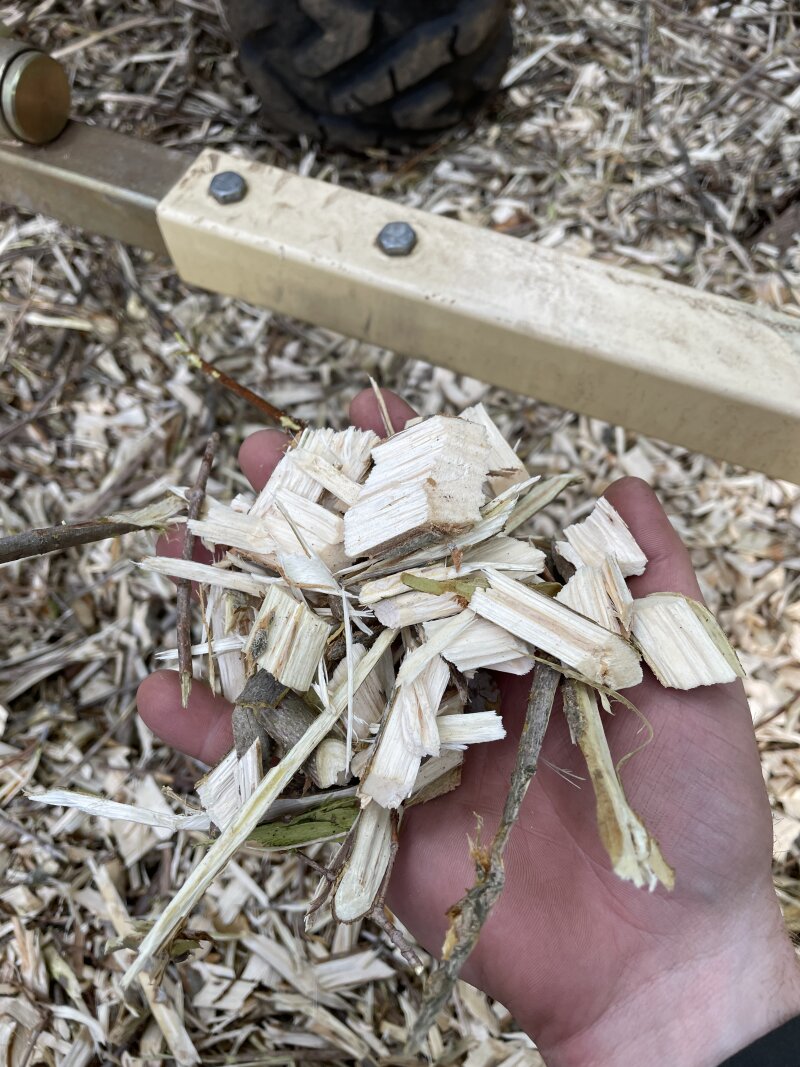 A handful of wood chips from the chipper. They look clean cut and about the size you’d expect, perhaps one by two inches and half an inch thick.