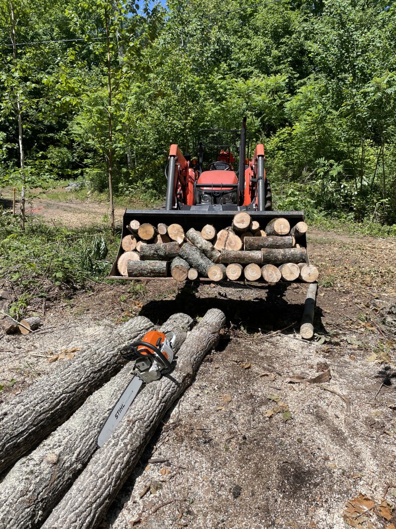 The tractor bucket loaded with firewood rounds, a pile of logs and a chainsaw in the foreground