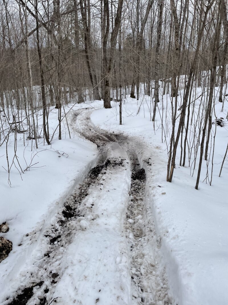The forest road used for sap access on ATV, two ruts from driving the ATV in and out of a foot of snow