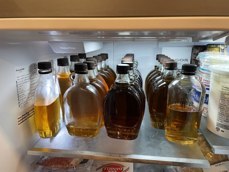 About 20 375ml bottles of syrup of various colours on a shelf in the fridge